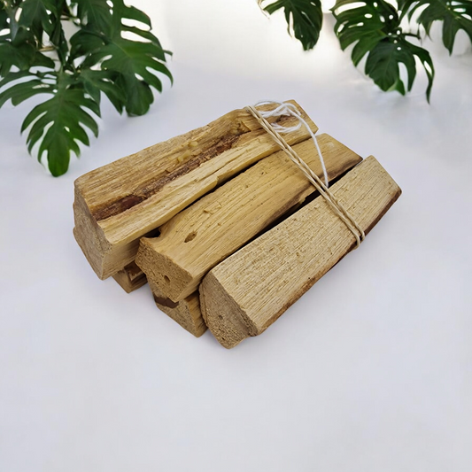 PALO SANTO