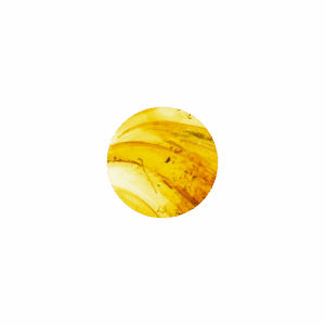 perle ronde ambre