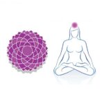 Le-chakra-coronal
