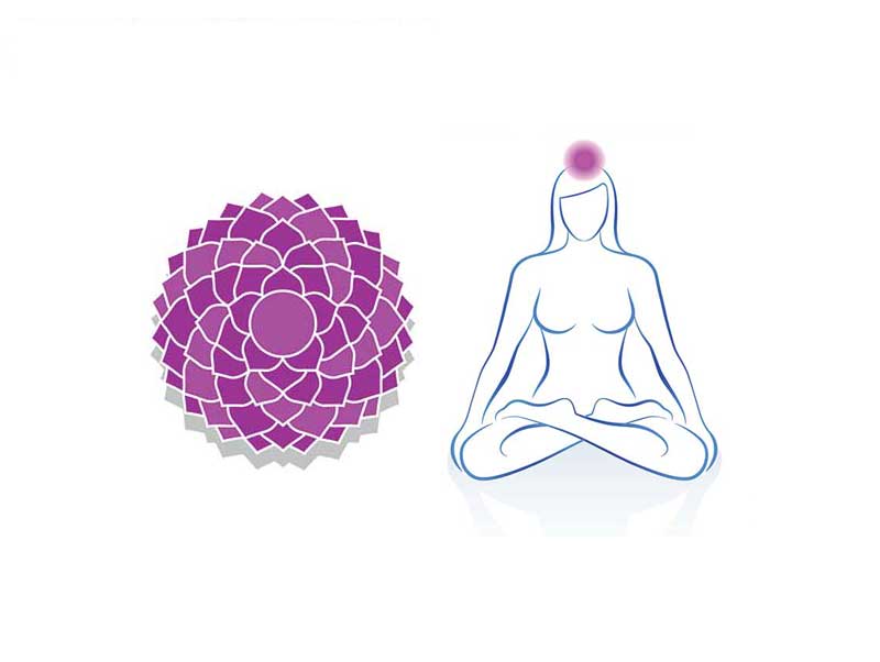 Le-chakra-coronal