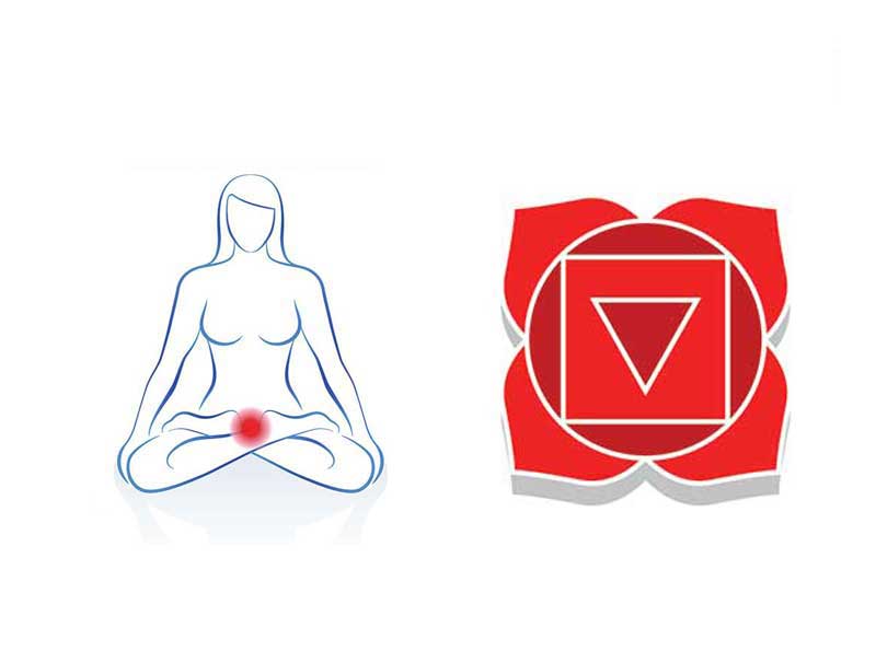 Le-chakra-racine