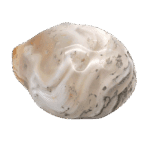 Agate eau pierre roulée