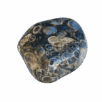 Agate turitelle pierre roulée