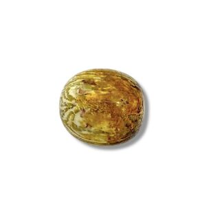PIERRE ROULEE CORAIL FOSSILE