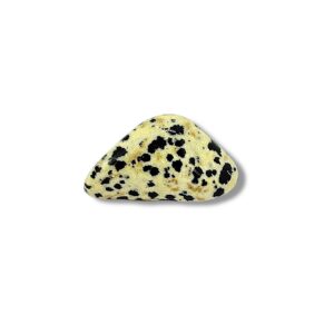 PIERRE ROULEE JASPE DALMATIEN