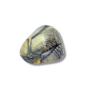Pierre roulée Jaspe feuille d'argent
