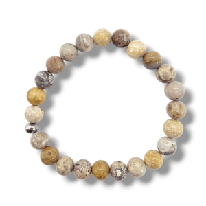 BRACELET UNIQUE CORAIL FOSSILE