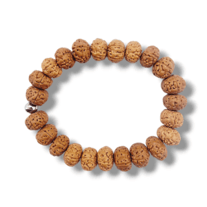BRACELET UNIQUE GRAINE DE SHIVA