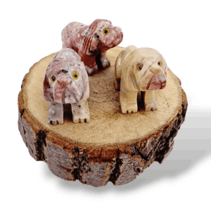 CHIEN STEATITE ANIMAUX