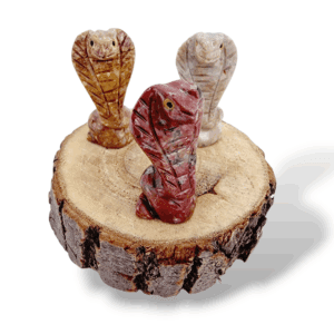 COBRA STEATITE ANIMAUX