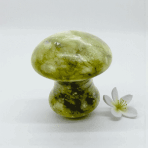 Gua sha champi jade vert
