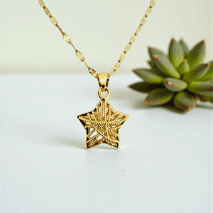 PENDENTIF ETOILE TITANE